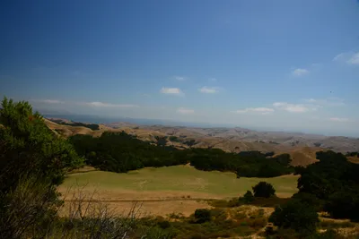 DSC_2488 (Large).JPG